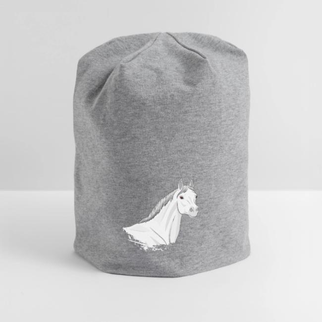 La t�te d'un cheval Arabe gris clair