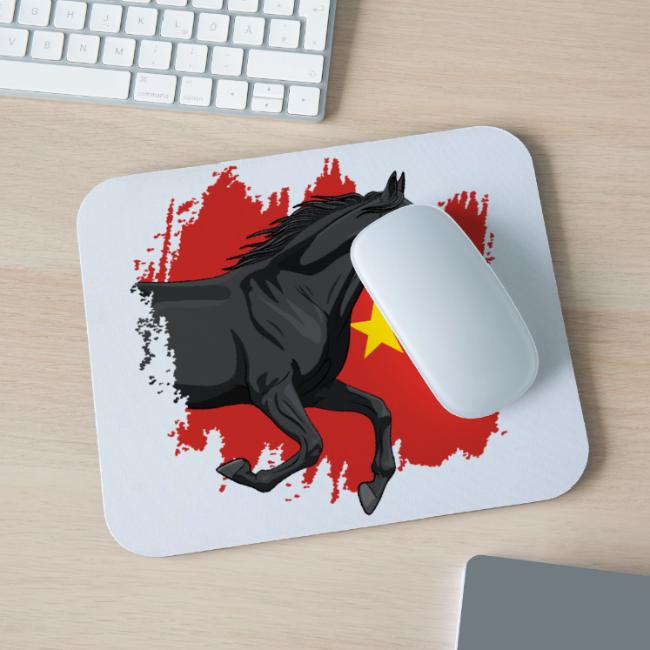 Un cheval Abaga noir devant le drapeau de la chine