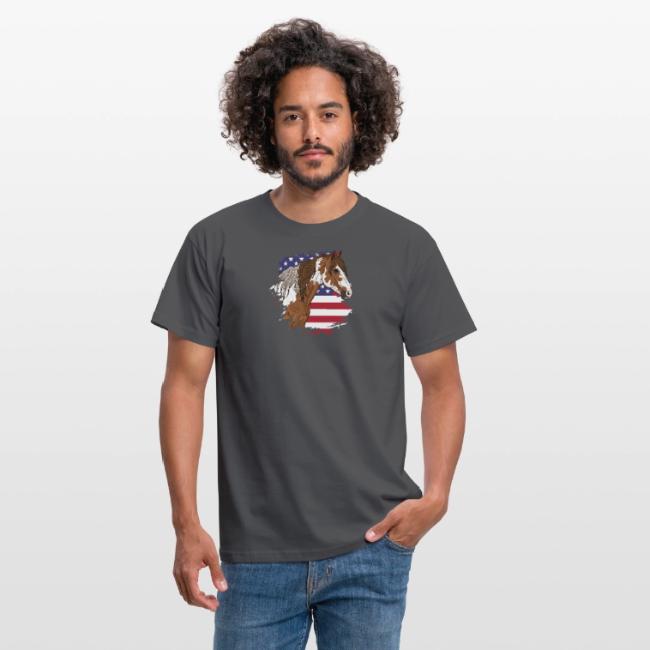 Le poney Assateague et le drapeau des �tats Unis