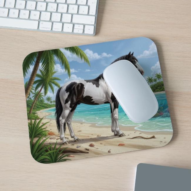 Un cheval Abaco Barbe et un paysage des Bahamas